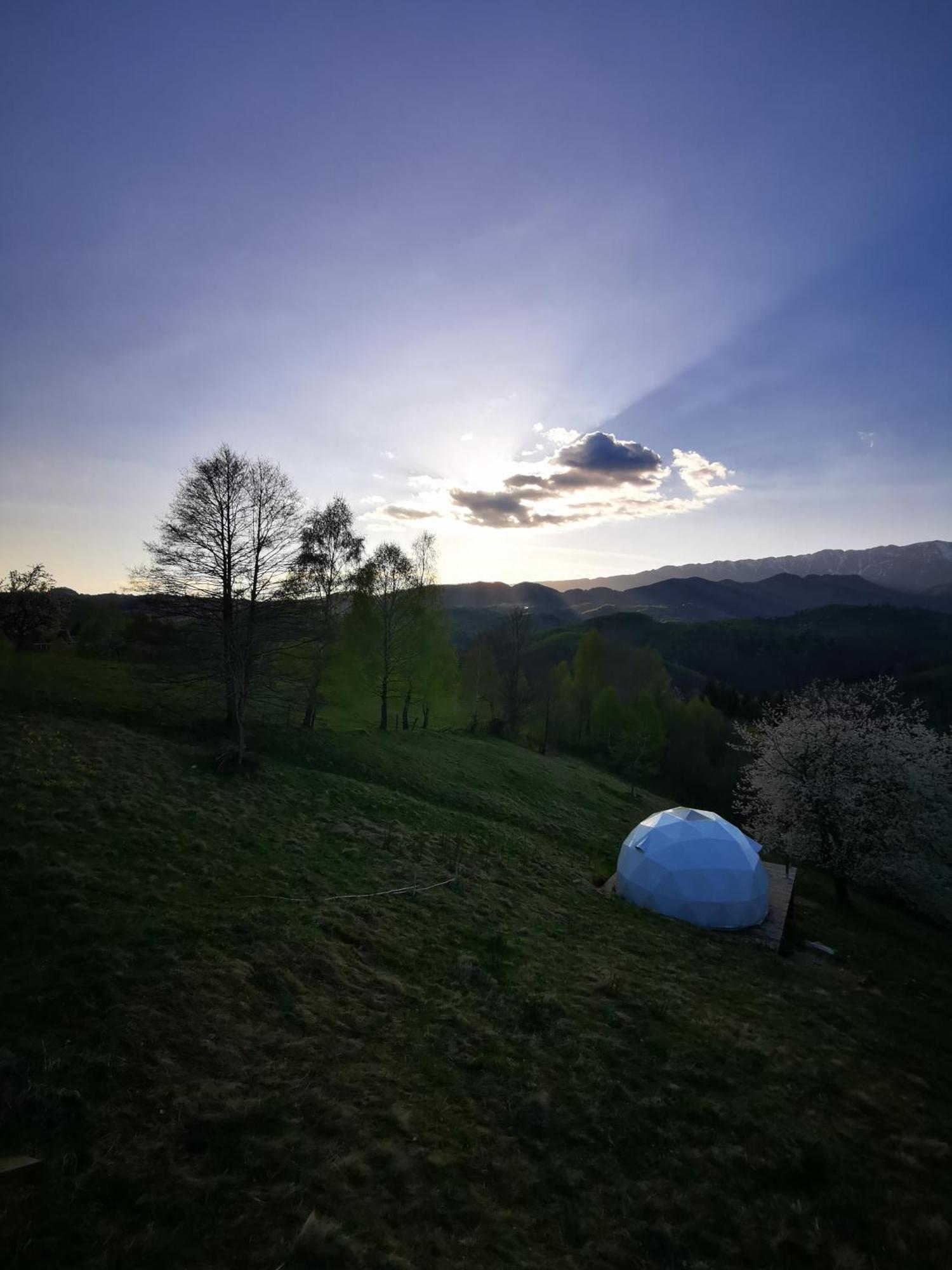 Glamping Zazen Hotell Drumu Carului Exteriör bild