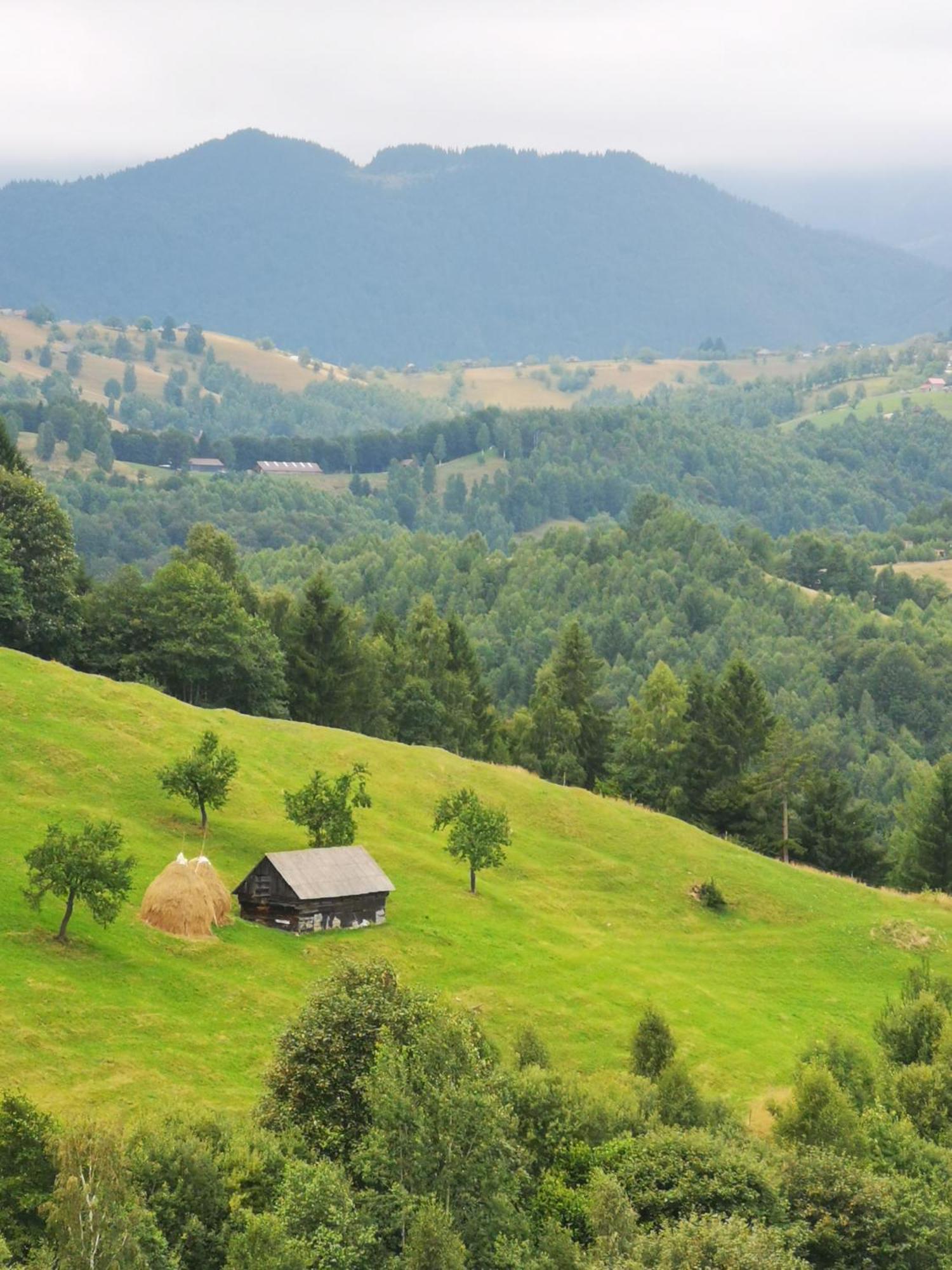 Glamping Zazen Hotell Drumu Carului Exteriör bild